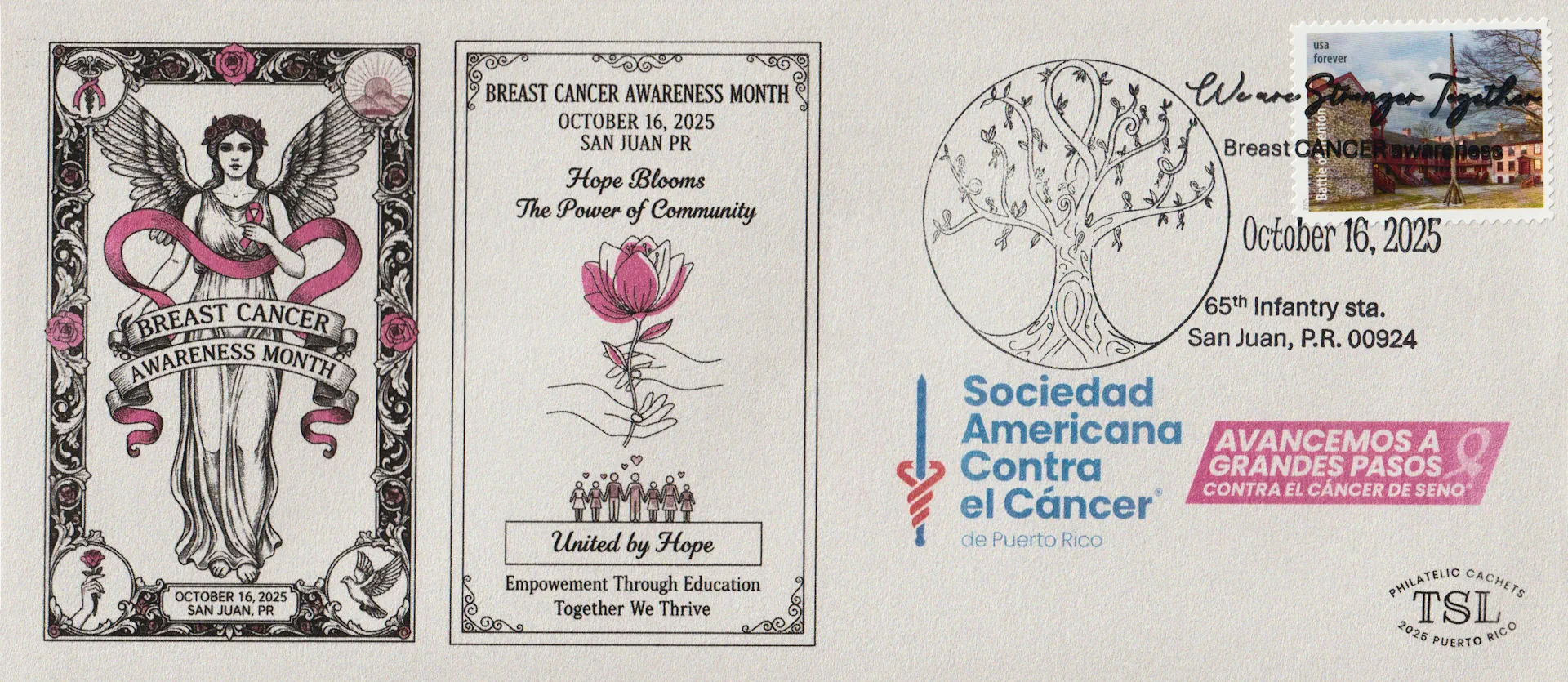 Official Pictorial Postmark View