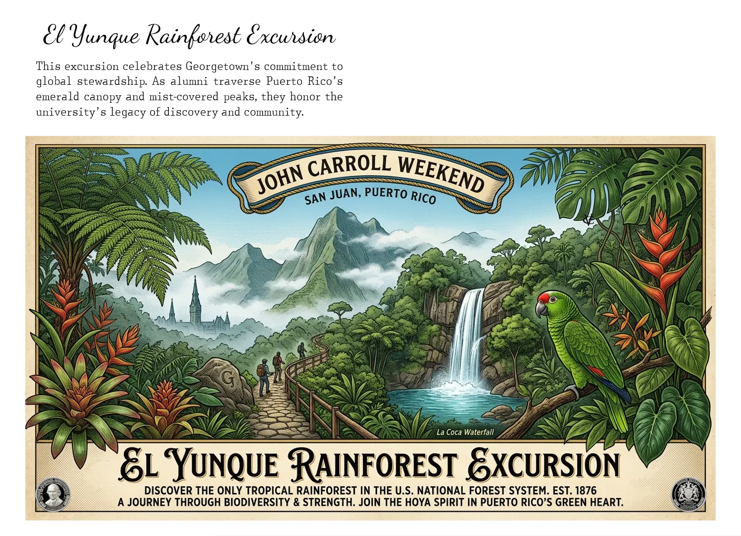 Front Design View